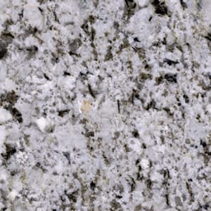 Alaska White