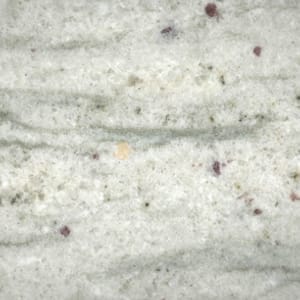 Ambrosia White