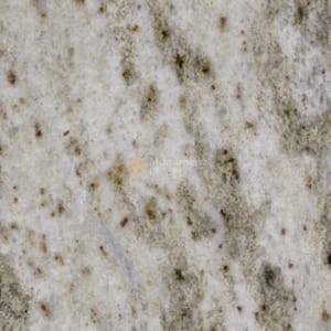 Andromeda White