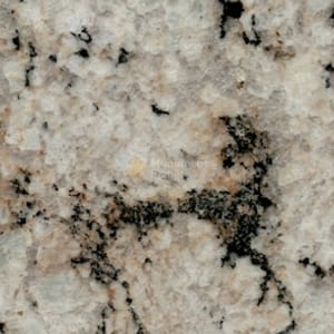 Colonial Cream