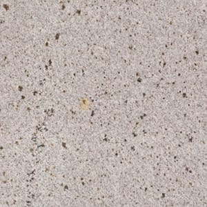 Ivory Pearl