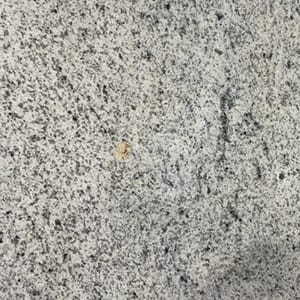 Snowfall White [KSW]