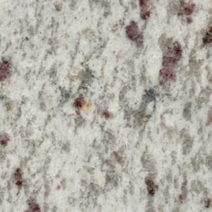 Leopard White