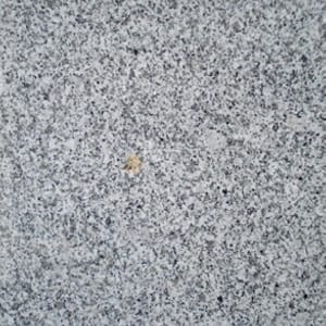 Platinum Grey [SDR]